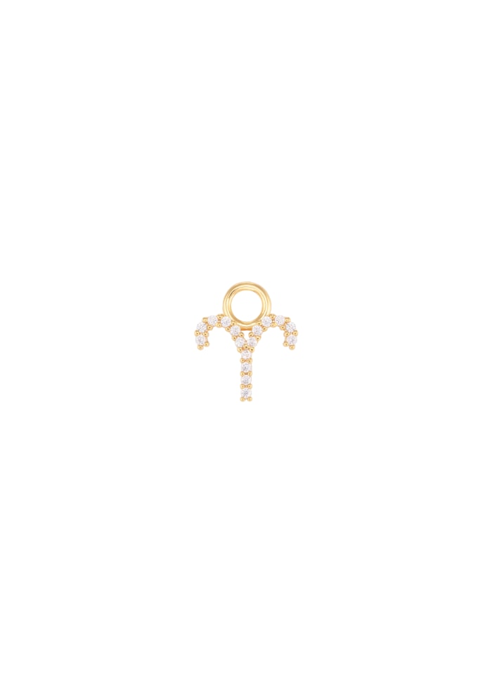 Aries Charm