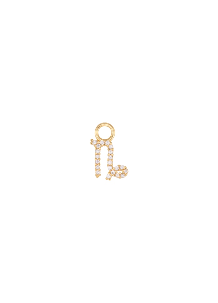 Capricorn Charm