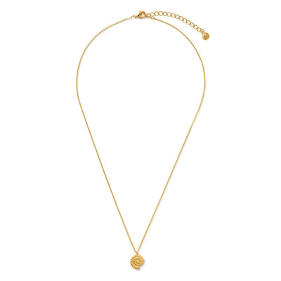 Ammonite Crystal Charm Necklace Gold