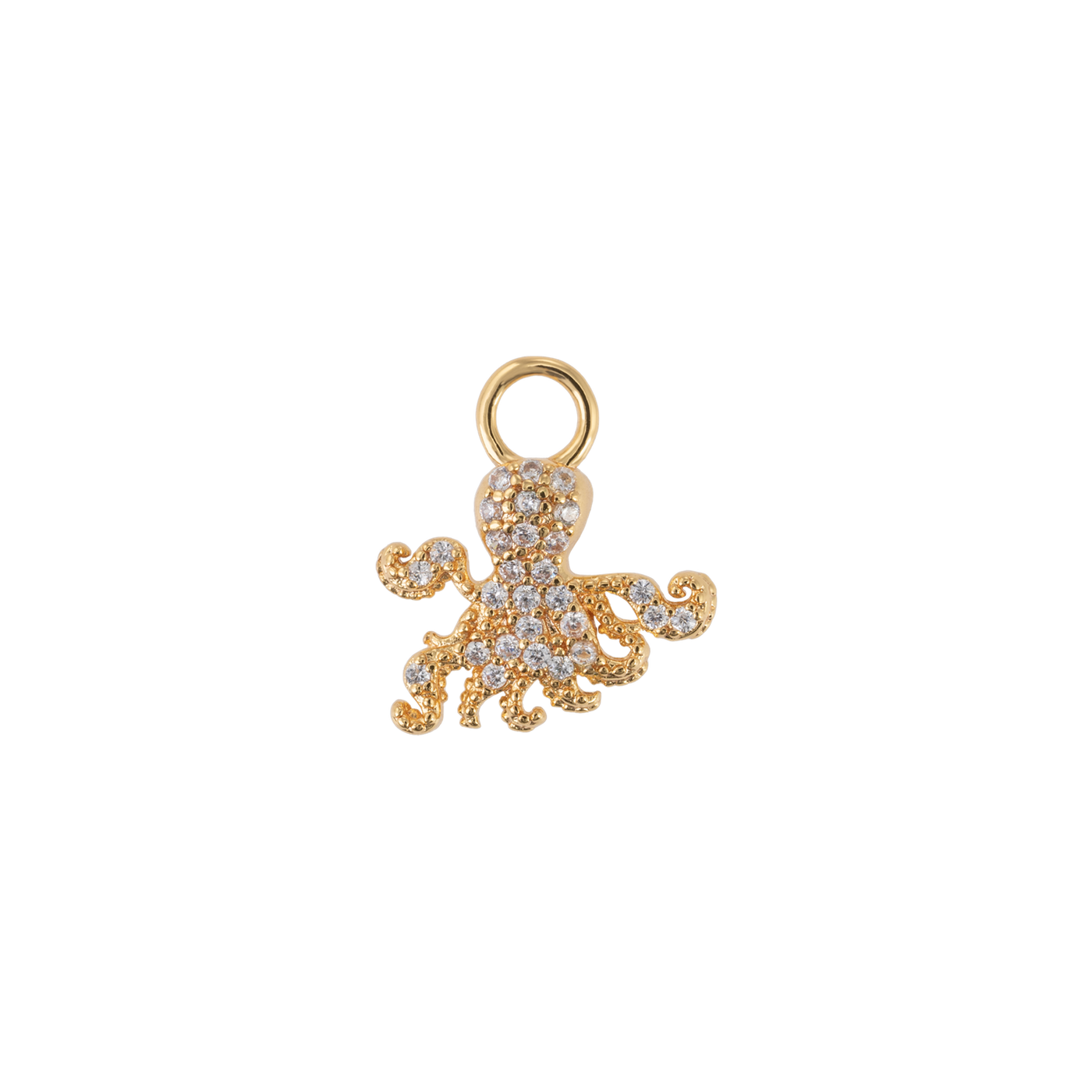 Veronica charm