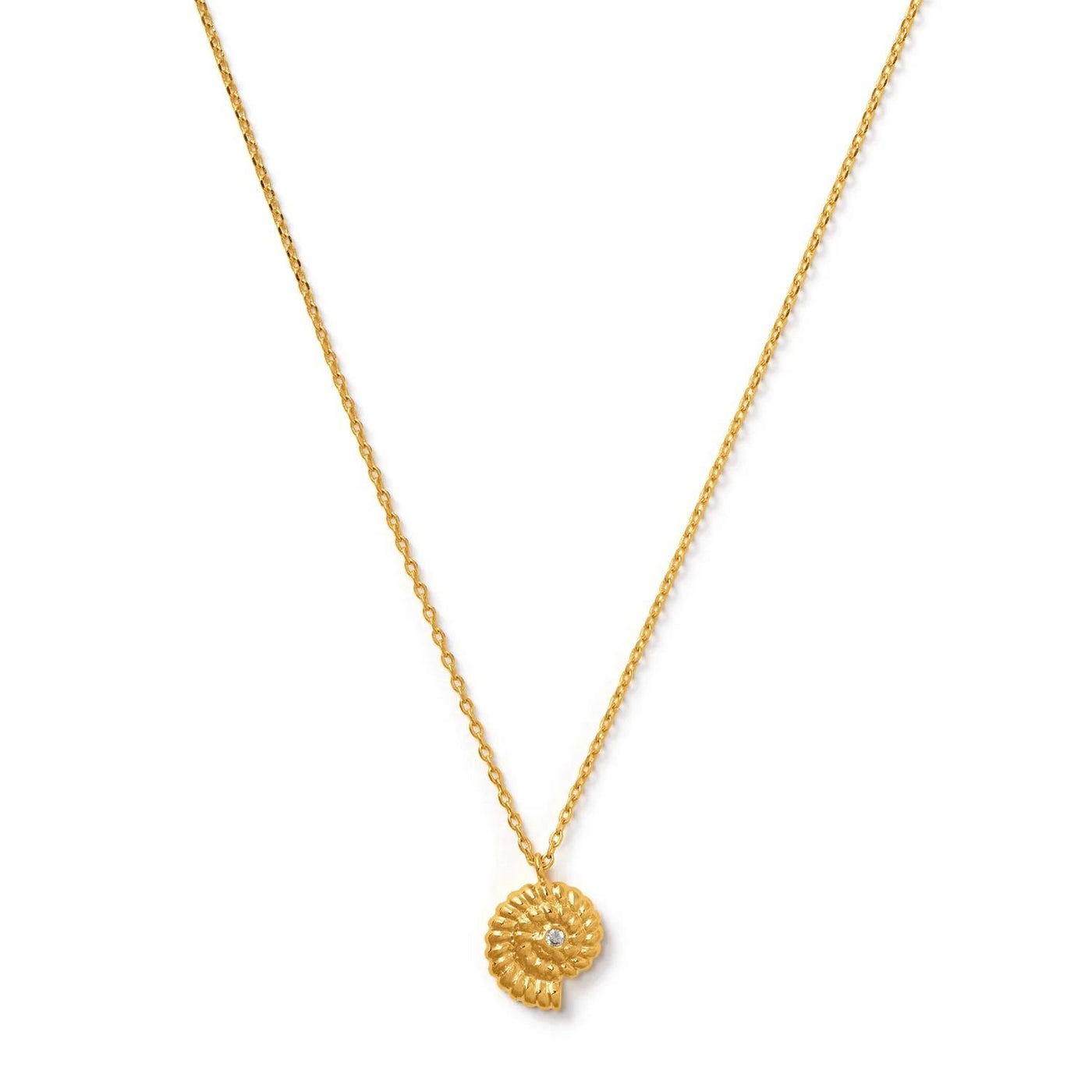 Ammonite Crystal Charm Necklace Gold