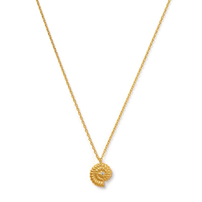 Ammonite Crystal Charm Necklace Gold